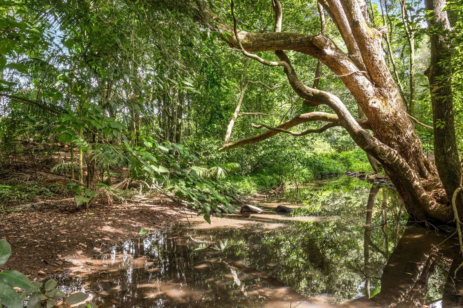 Additional image 17 of 323 Alcorn Road, Knockrow NSW 2479