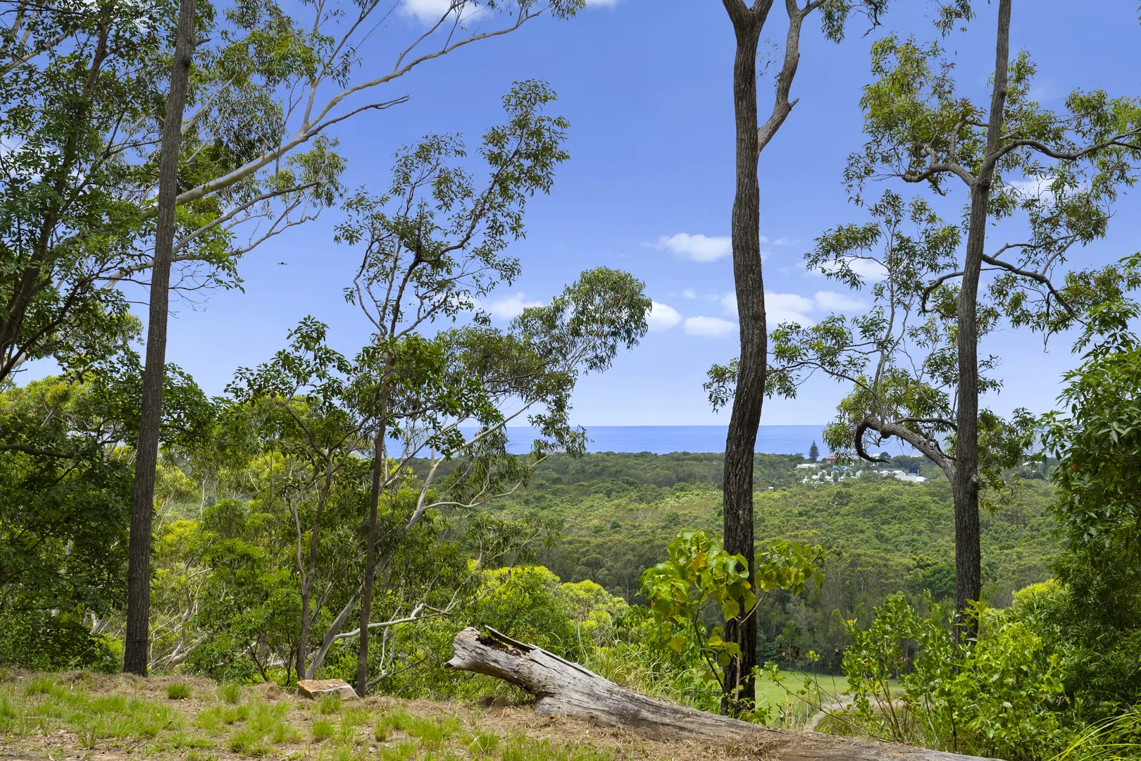 Additional image 15 of 144 Round Mountain Road, Round Mountain NSW 2484