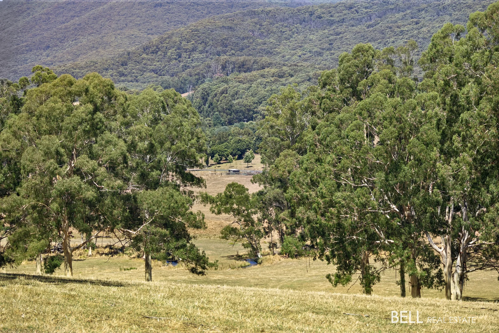 Additional image 16 of 1115 Little Yarra Road, Three Bridges VIC 3797