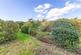 Additional image 22 of Jonathan Garth, Addingham, Ilkley, West Yorkshire, LS29