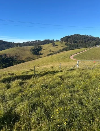 Additional image 19 of Lot 193 Fourter Road, Nethercote NSW 2549