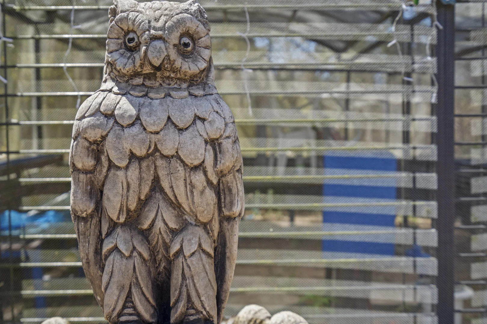 Additional image 21 of 168 Wills Road, Coominya QLD 4311