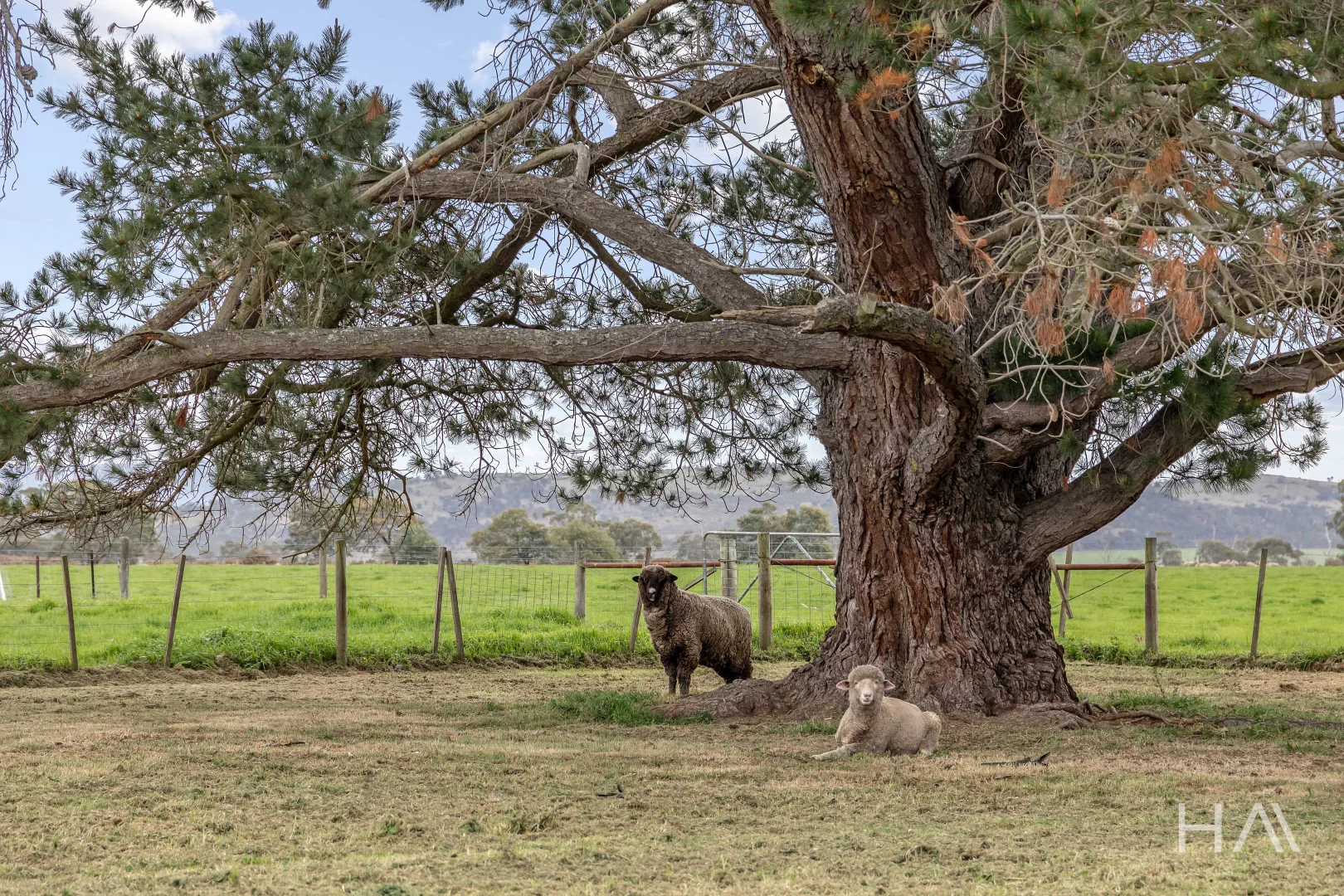 Additional image 17 of 12787 Midland Highway, Cleveland TAS 7211