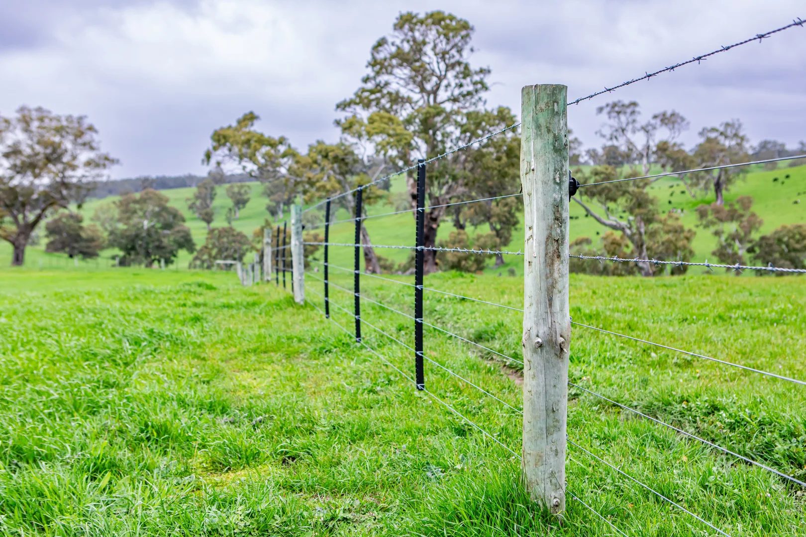 Additional image 5 of 3155 Casterton-Edenhope Road, Chetwynd VIC 3312