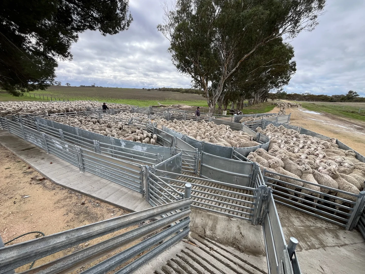 Additional image 3 of 2117 Senior Road, Senior SA 5268