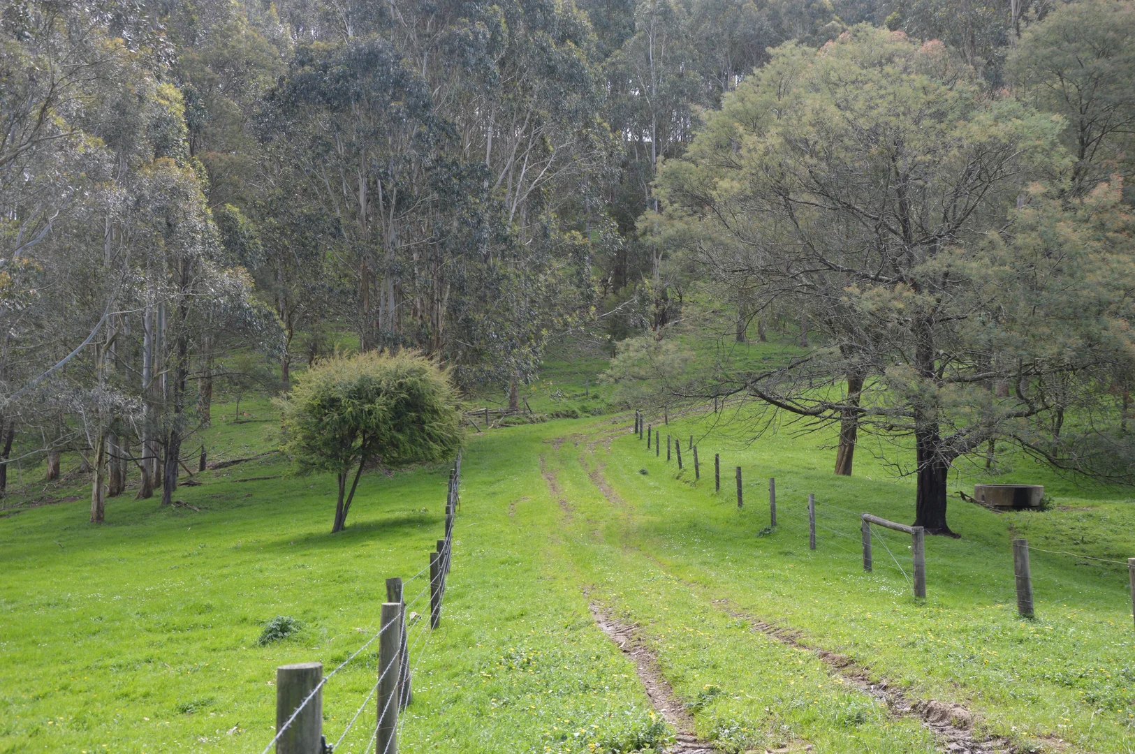 Additional image 25 of 59 Bellview Lane, Korumburra VIC 3950