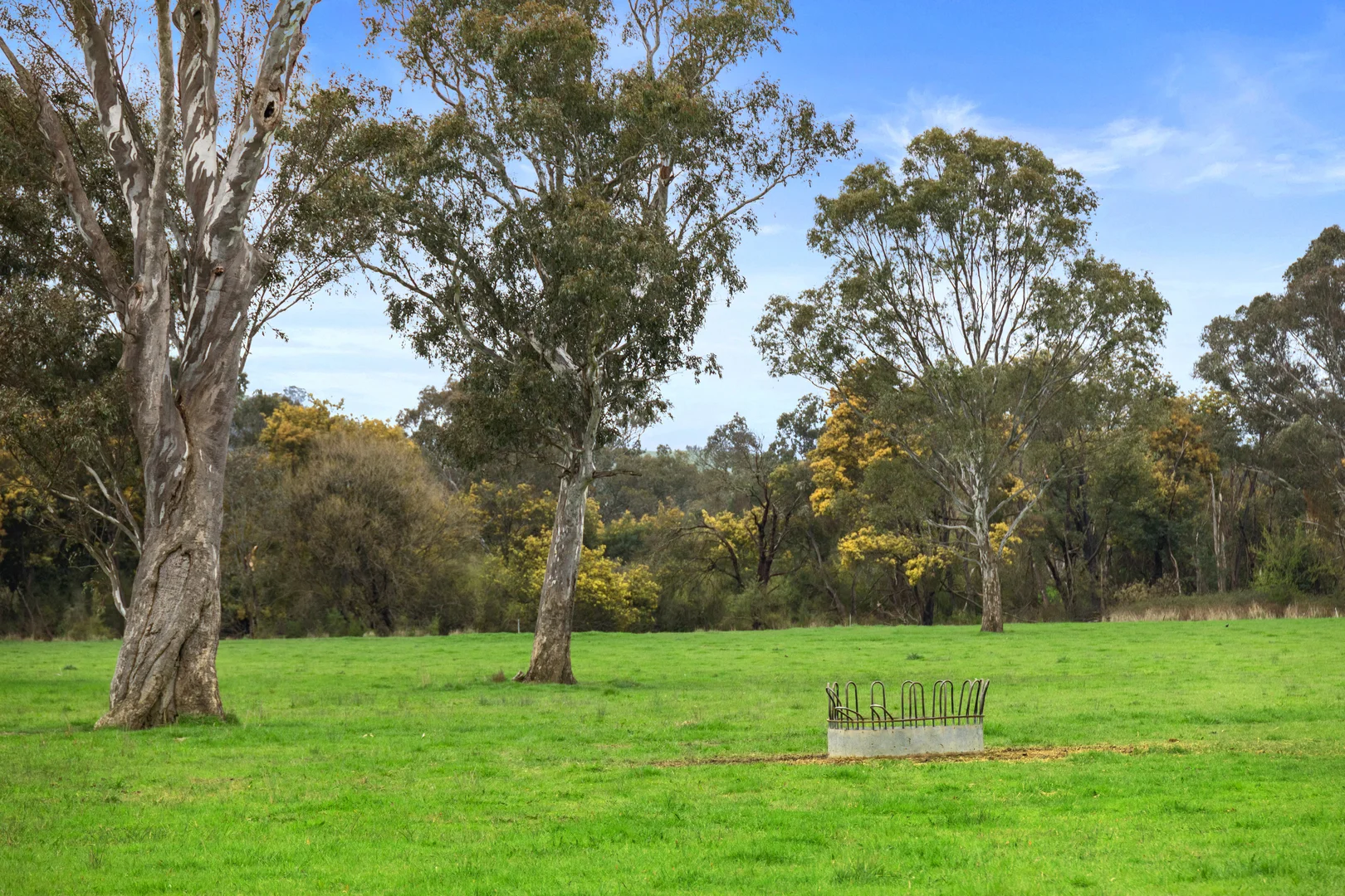 Additional image 10 of 6089 Melba Highway, Yea VIC 3717