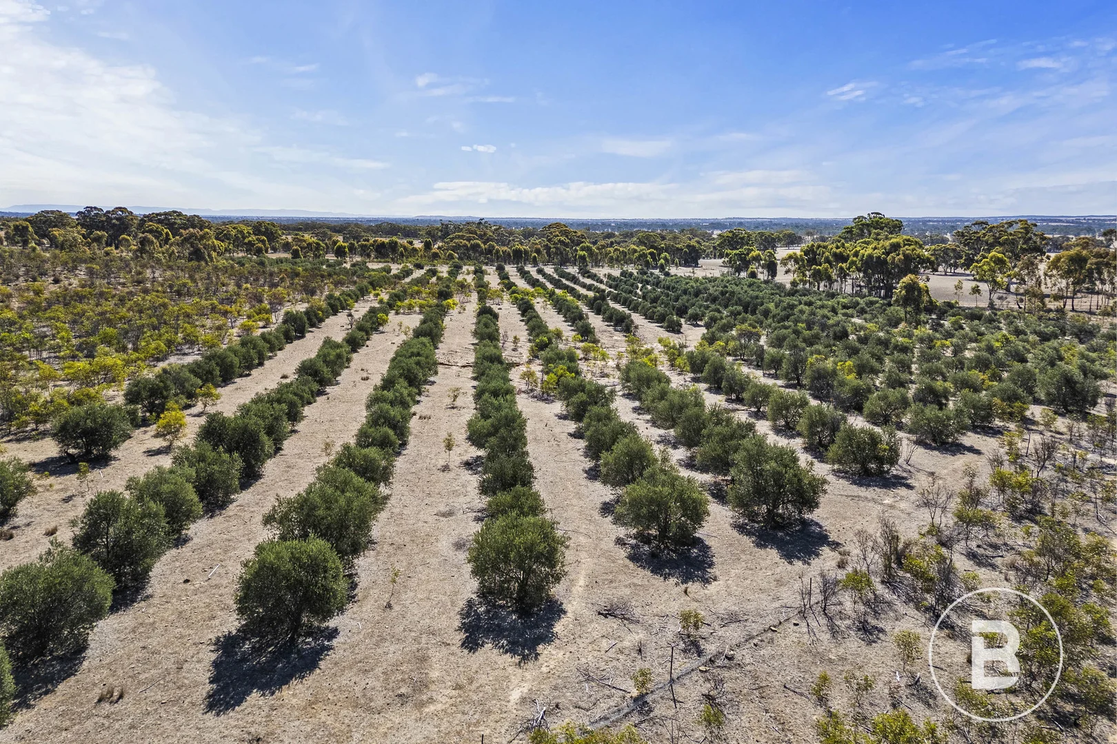 Additional image 2 of 3320 Ararat - St Arnaud Road, Navarre VIC 3384