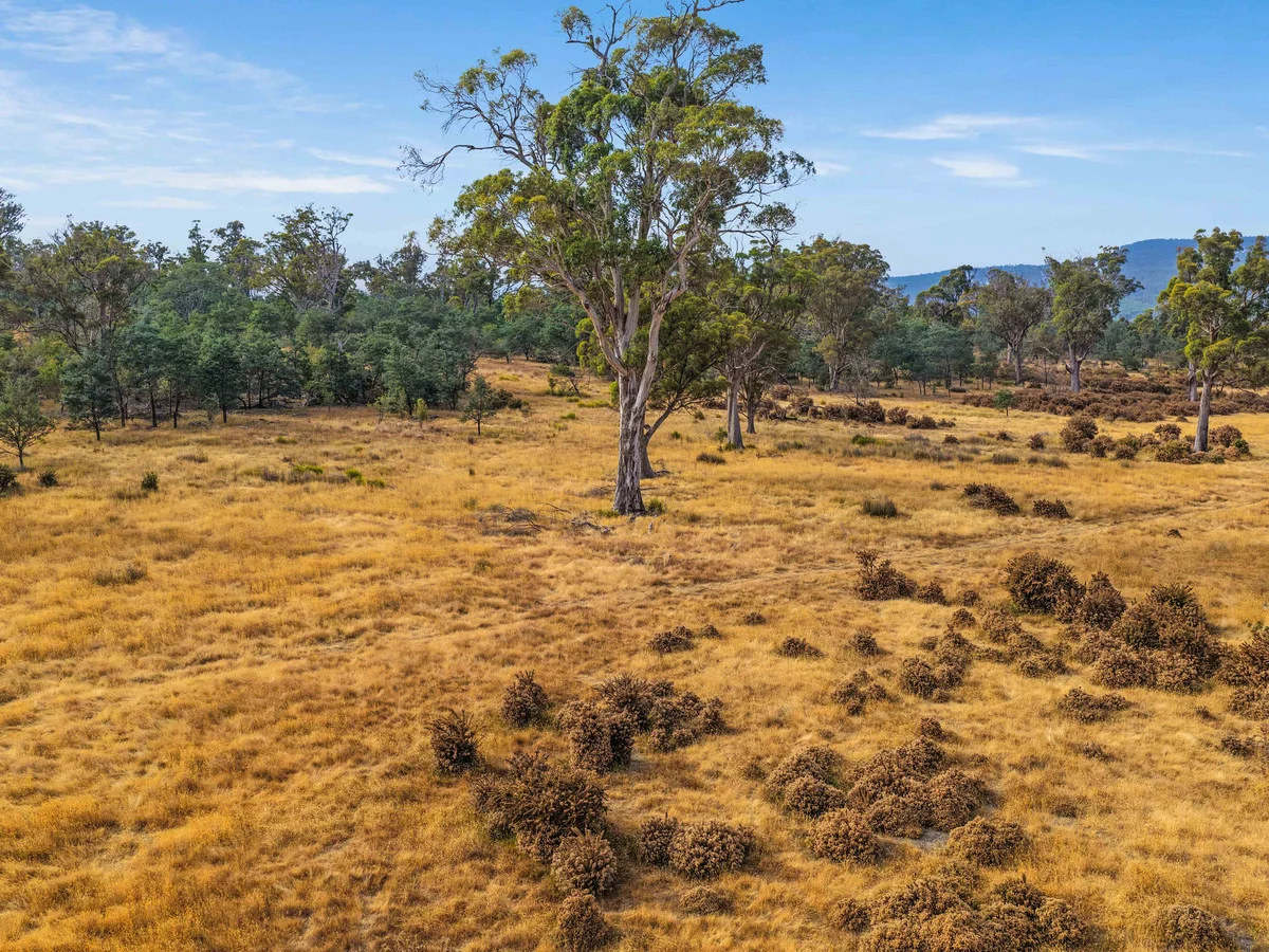 Additional image 31 of 179 Cluan Road, Cluan TAS 7303