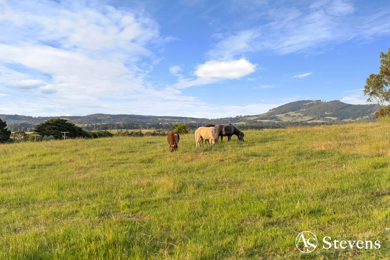 Additional image 14 of 60 Grahams Road, Lancefield VIC 3435