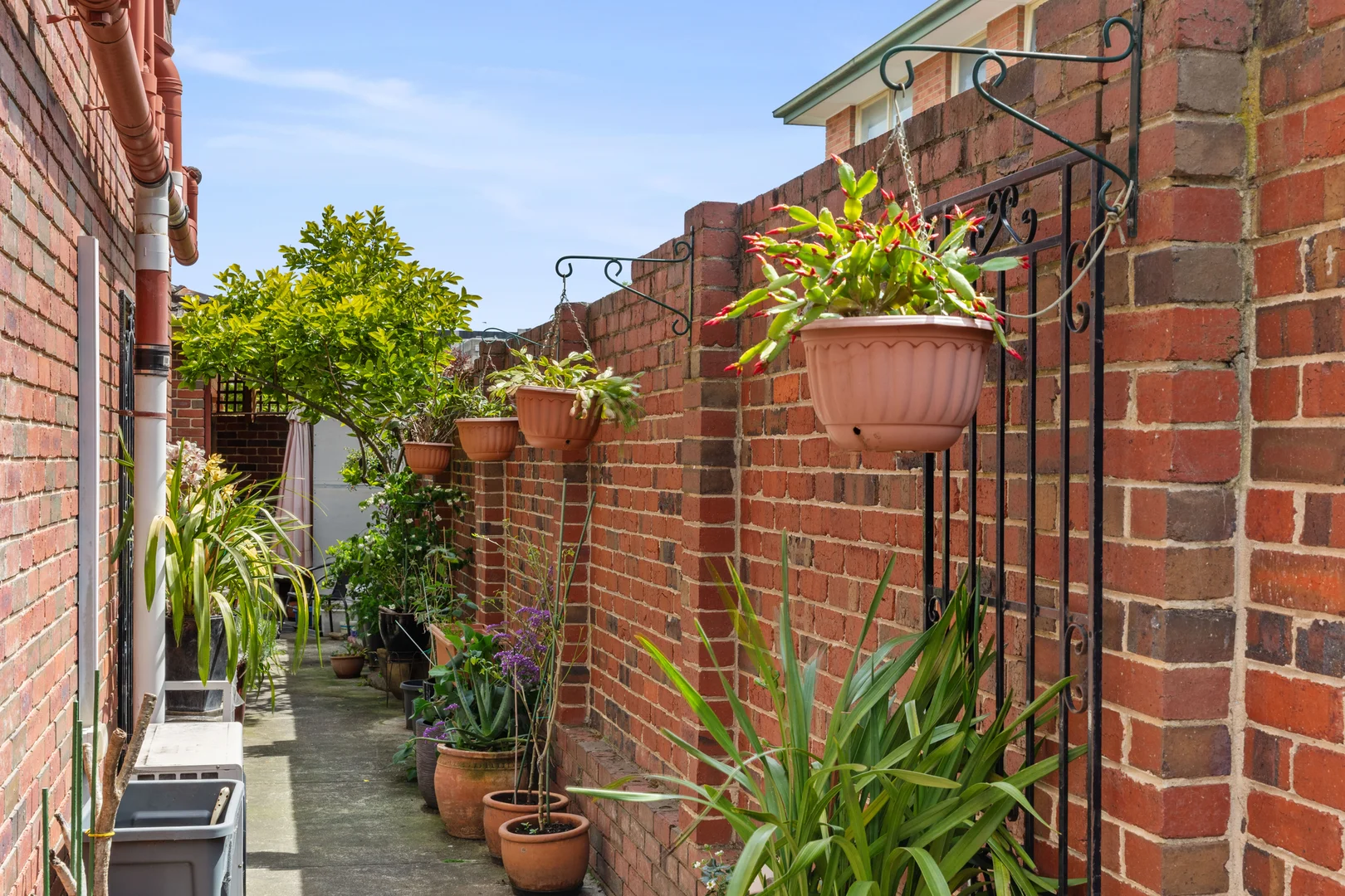 Additional image 8 of 2 Thurston Street, Box Hill VIC 3128