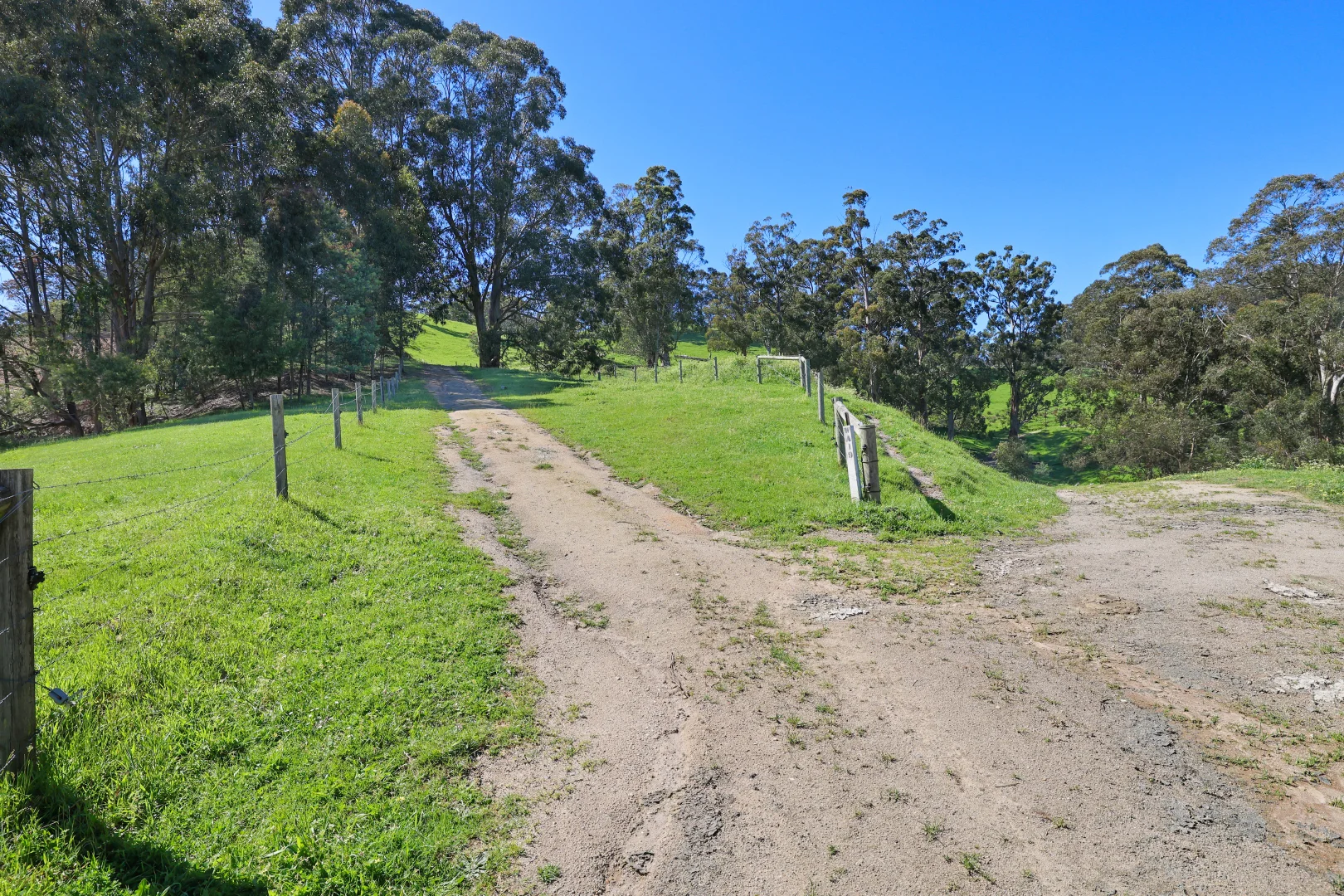 Additional image 14 of 196 Peters Road, Ellinbank VIC 3821