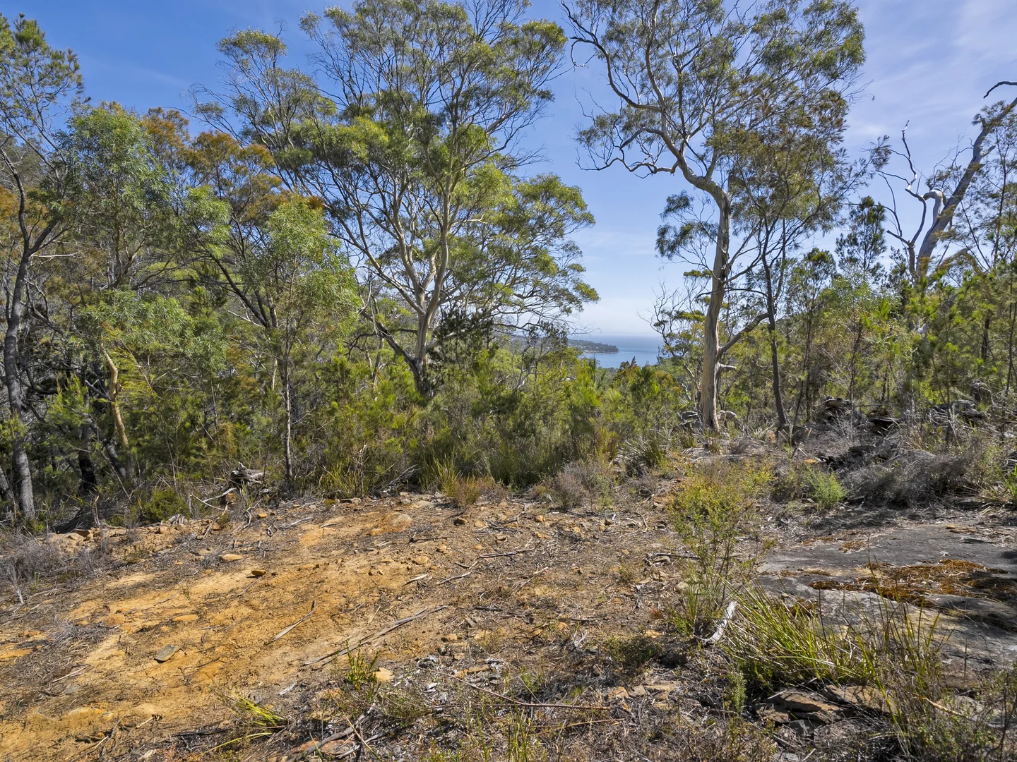 Additional image 5 of 2 and 3 White Beach Road, White Beach TAS 7184