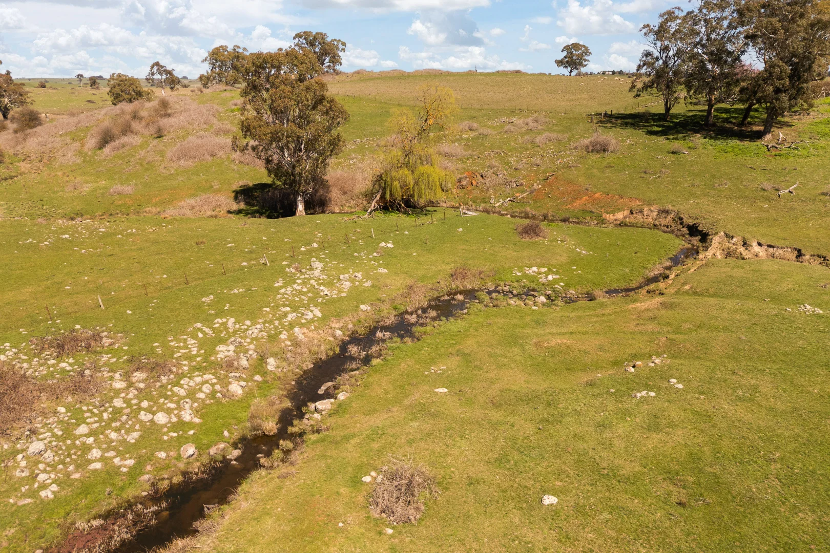 Additional image 24 of Millthorpe NSW 2798