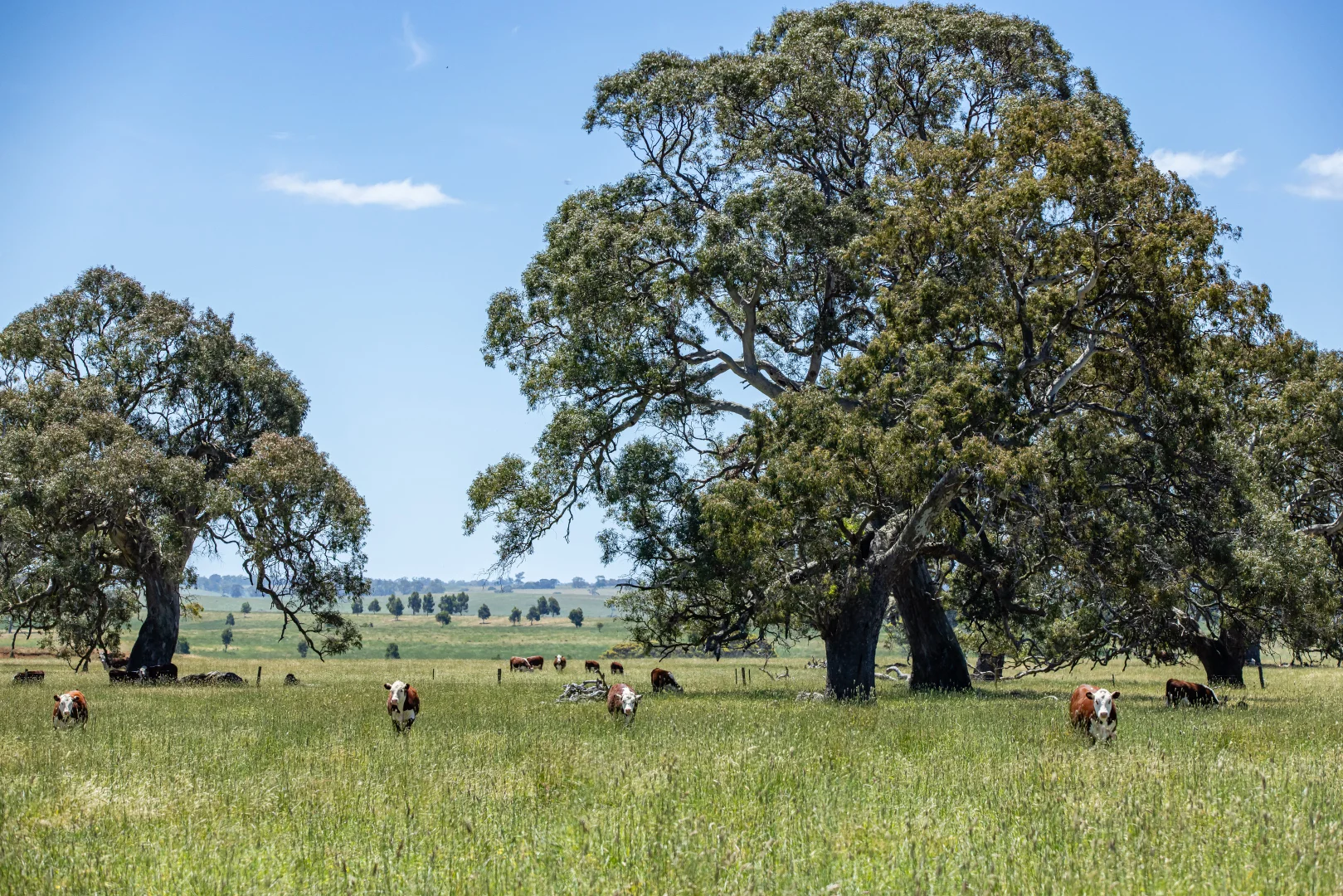 Additional image 13 of 41 Uptons Road, Wando Vale VIC 3312