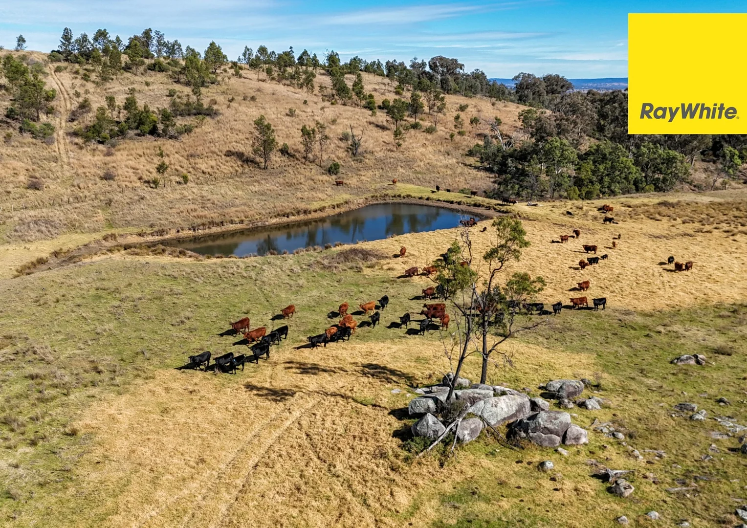 Additional image 25 of 406 Dry Creek Road, Inverell NSW 2360