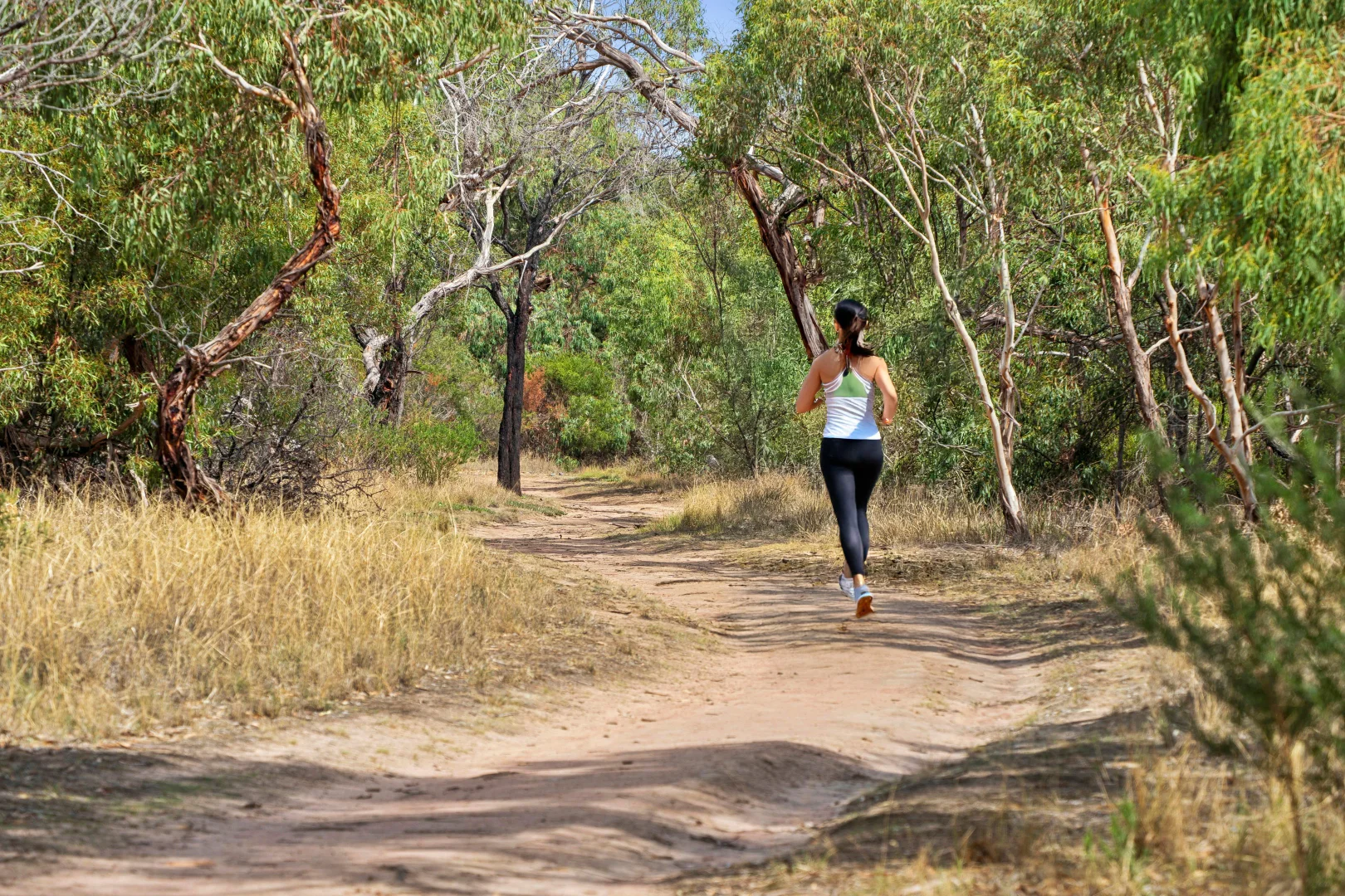 Additional image 7 of Stage 23 Somerset Estate, Bannockburn VIC 3331