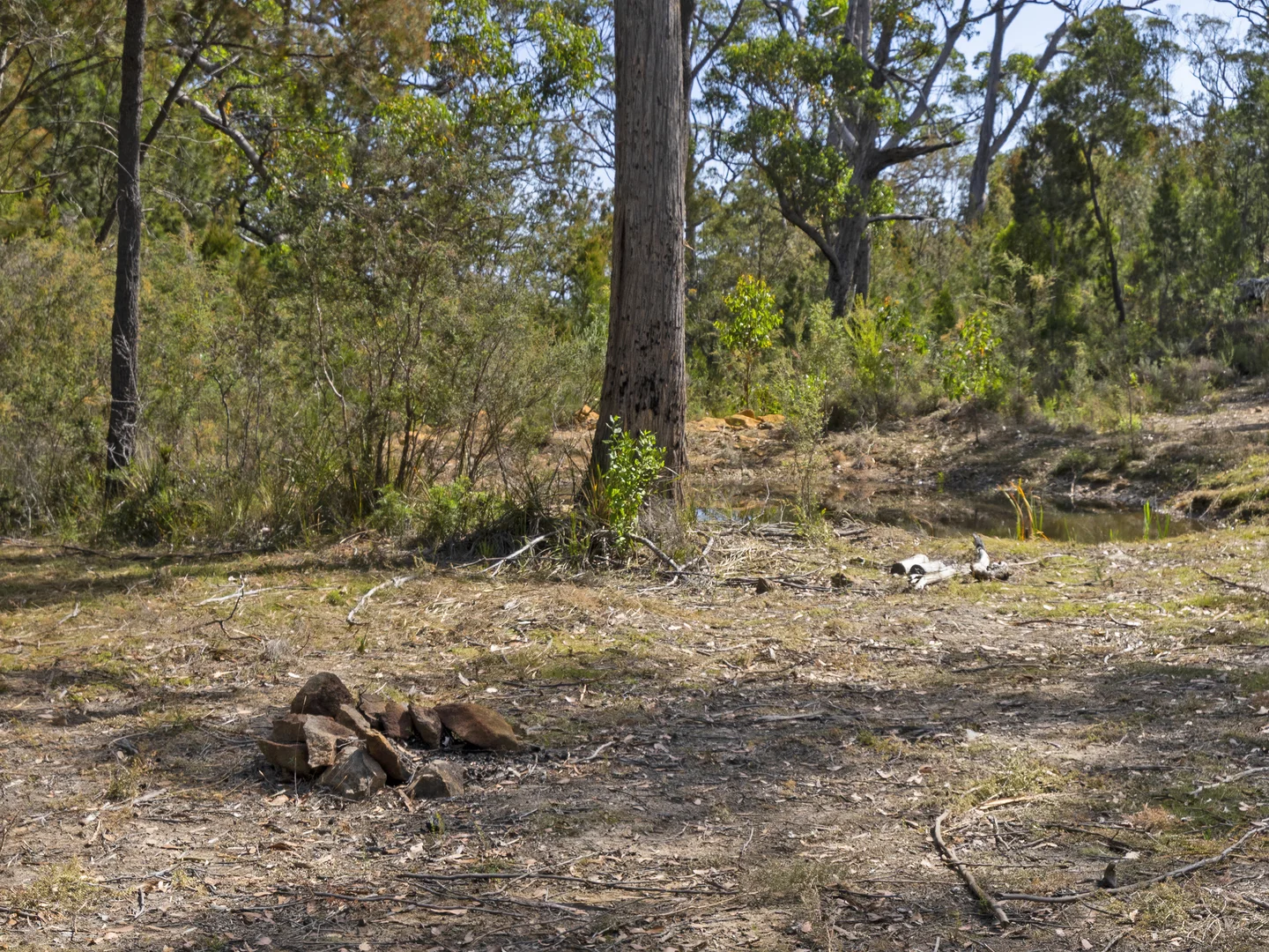 Additional image 11 of 2 and 3 White Beach Road, White Beach TAS 7184