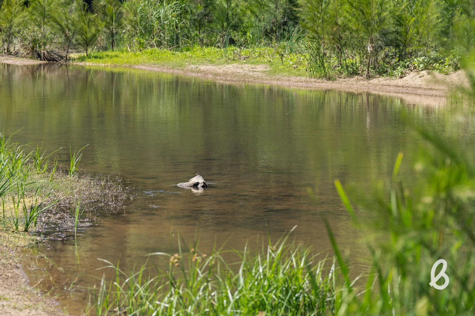 Additional image 23 of 562 Yarrawa Road, Yarrawa NSW 2328