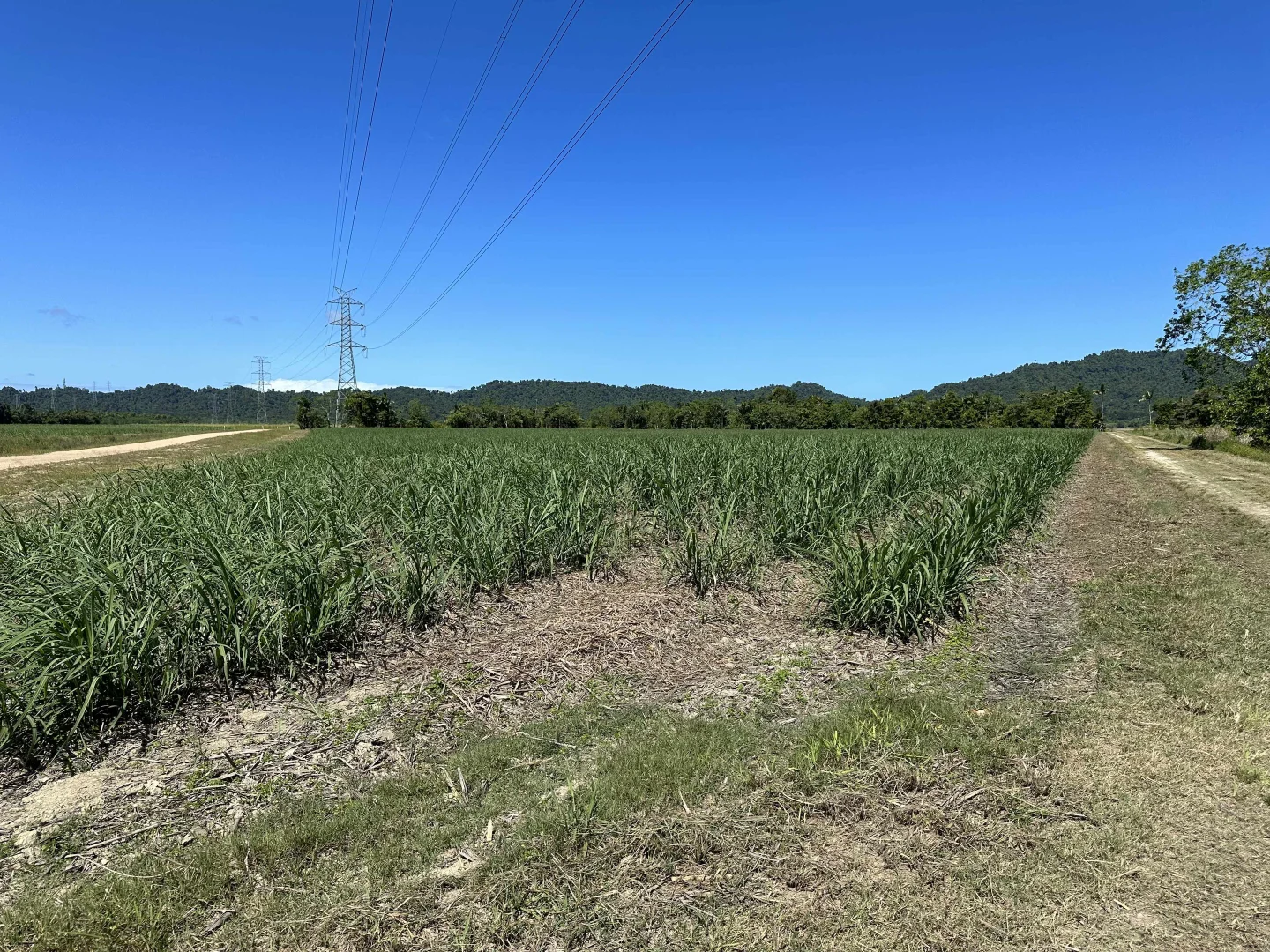 Additional image 18 of East Feluga QLD 4854