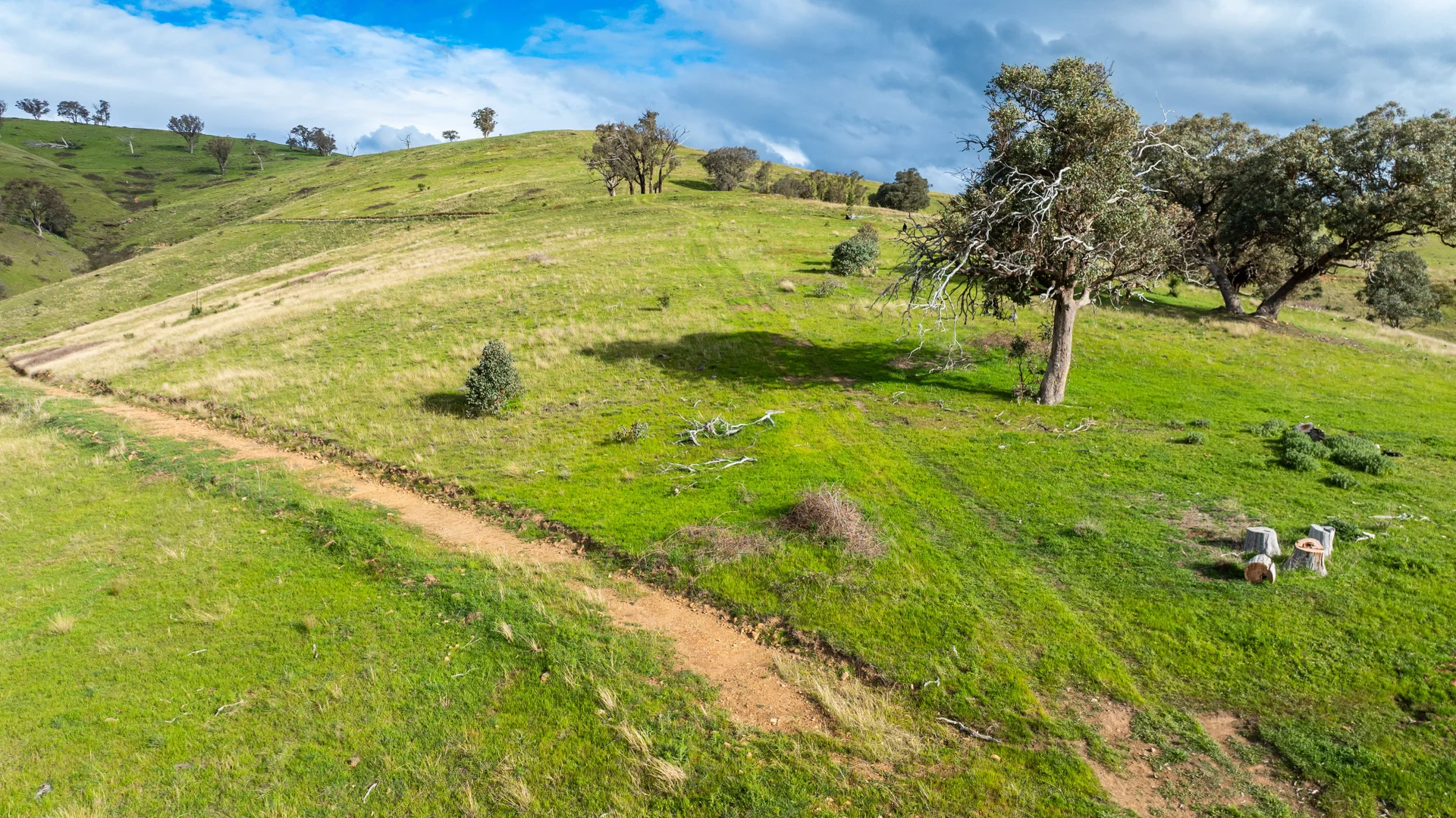 Additional image 12 of . Packers Road, Bethanga VIC 3691