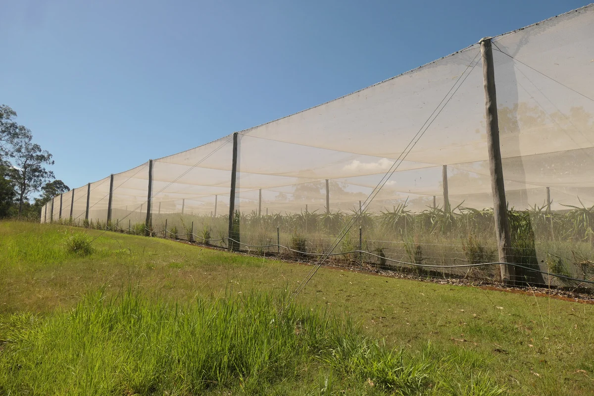 Additional image 17 of Bulldog NSW 2469