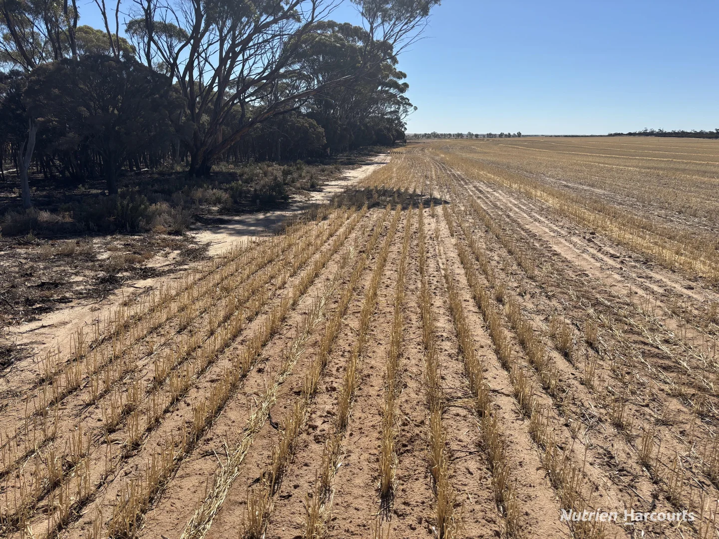 Additional image 11 of . 'Scotts', Yelbeni WA 6487