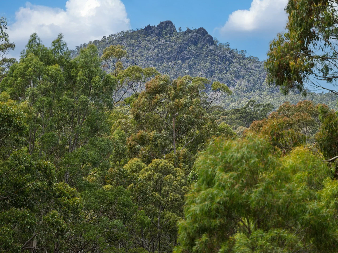 Additional image 9 of PID 6409528 Esk Main Road, St Marys TAS 7215