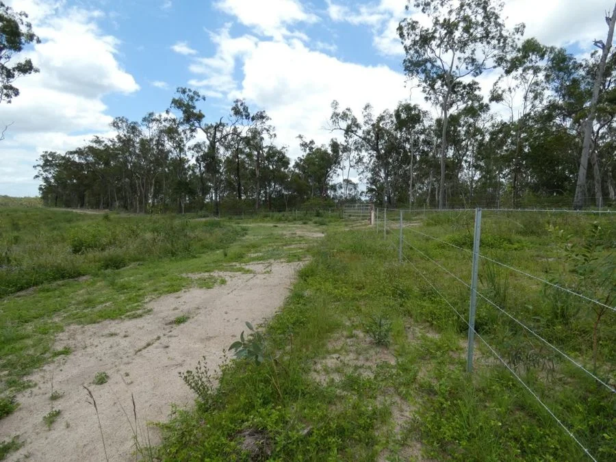 Additional image 30 of Lot 43 Moolyung Road, Waterloo QLD 4673