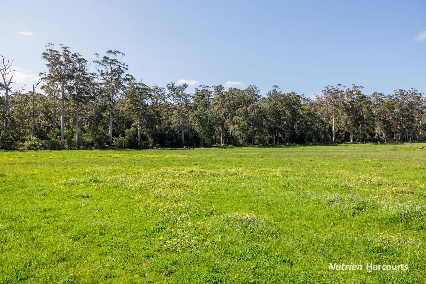 Additional image 19 of 1545 Muirillup Road, Boorara Brook WA 6262