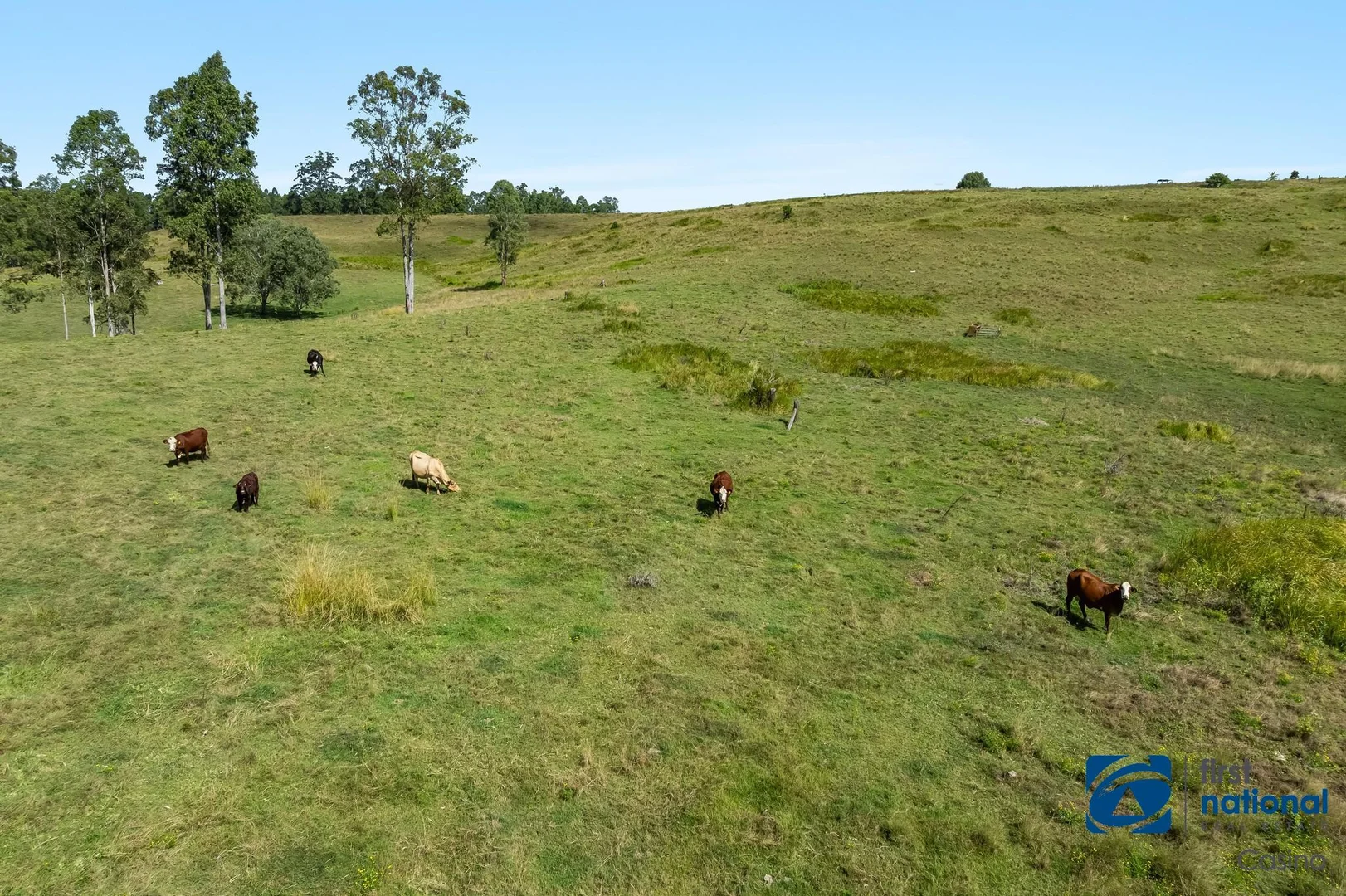 Additional image 17 of 1130-1158 Dyraaba Road, Dyraaba NSW 2470