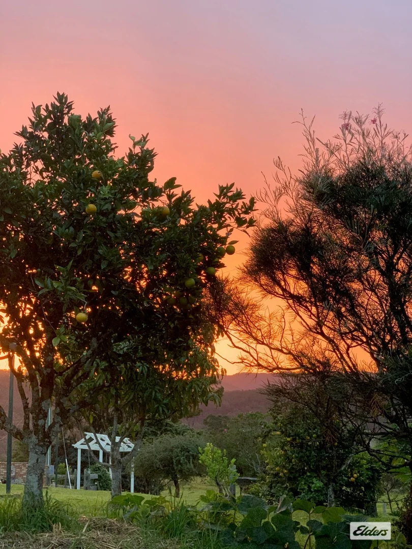 Additional image 25 of Upper Lansdowne NSW 2430