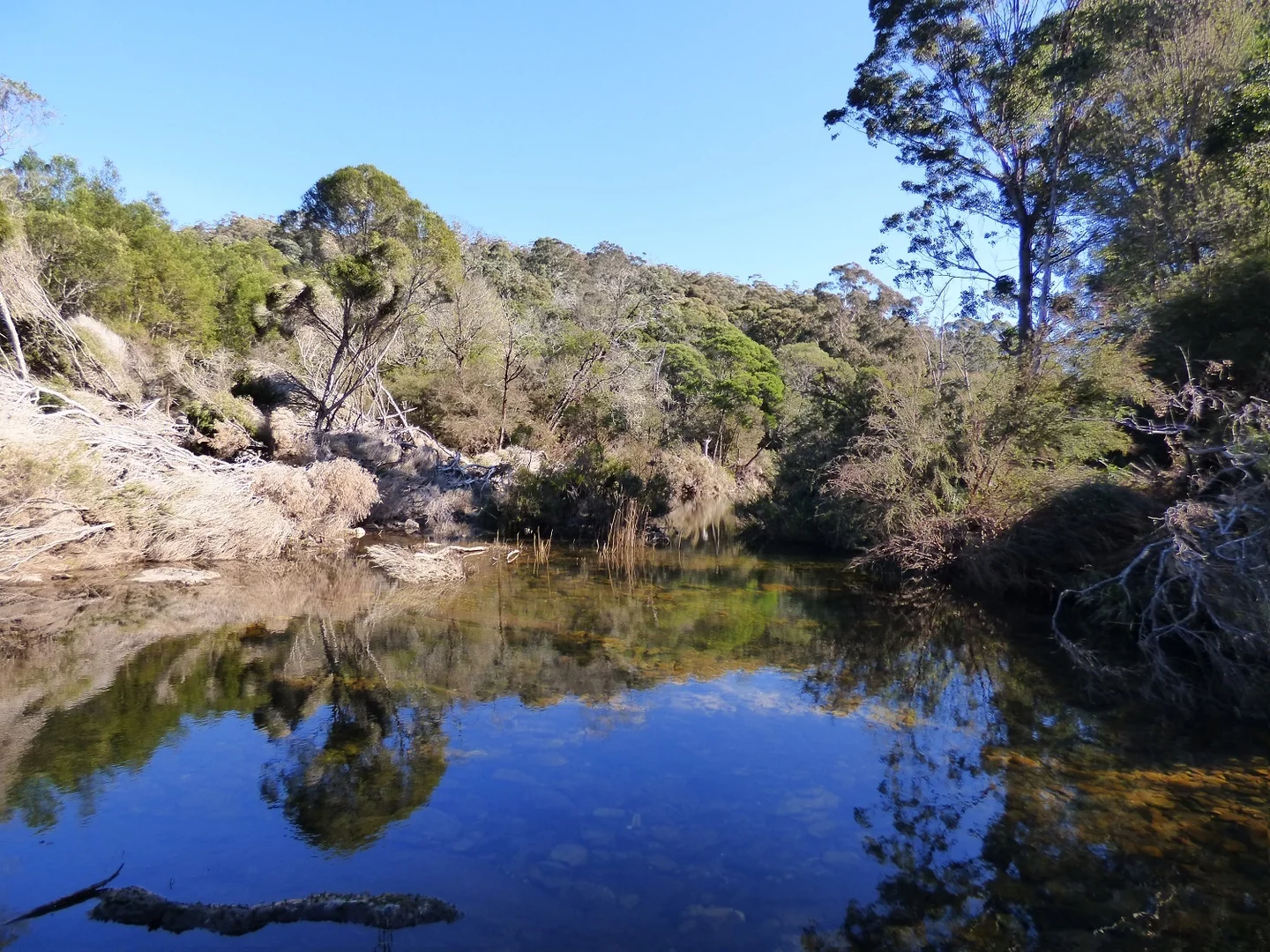 Additional image 18 of 1215 Nethercote Rd, Nethercote NSW 2549