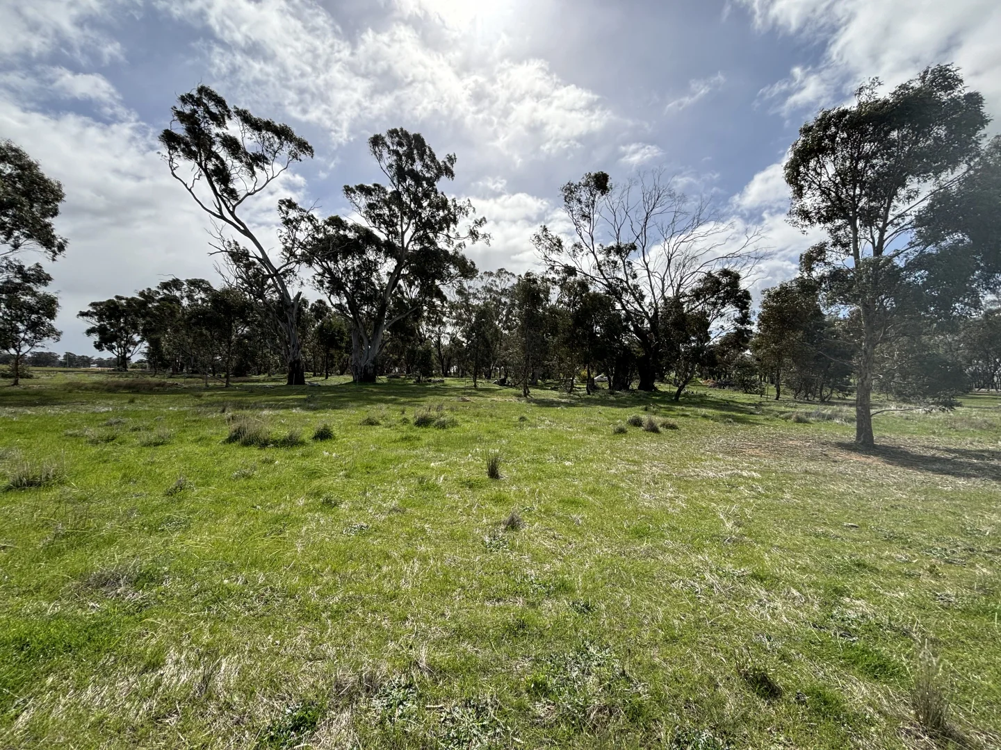 Additional image 30 of 00 St Arnaud - Wycheproof Road, St Arnaud VIC 3478