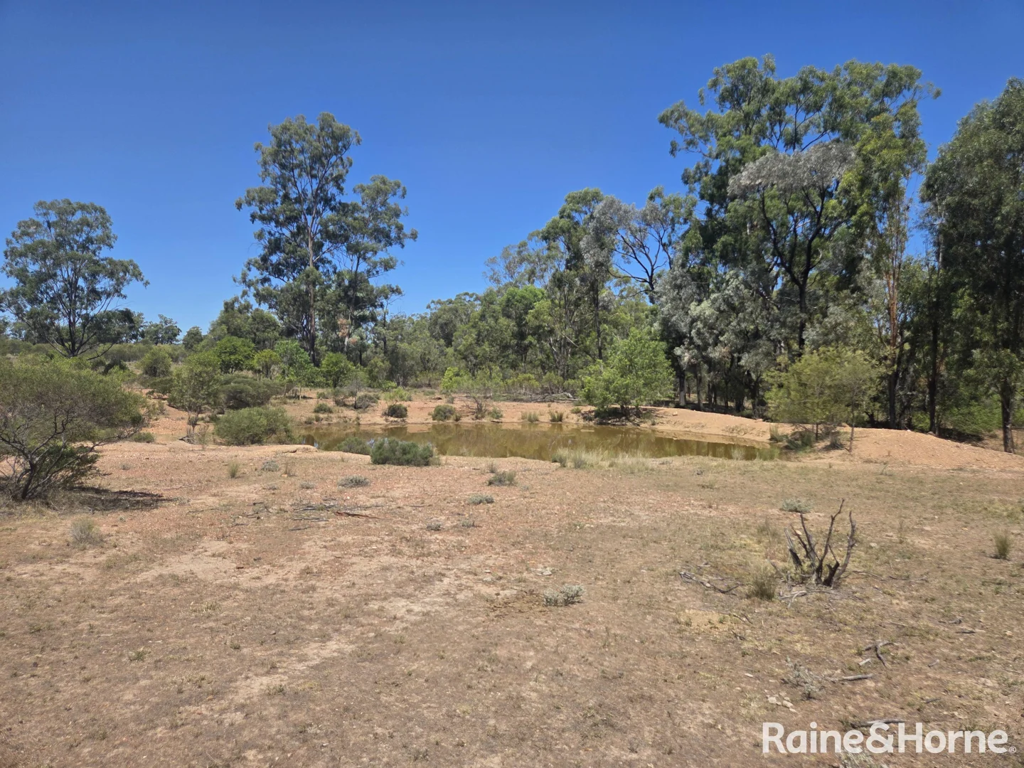 Additional image 29 of 647 Sweedmans Road, Limevale QLD 4384