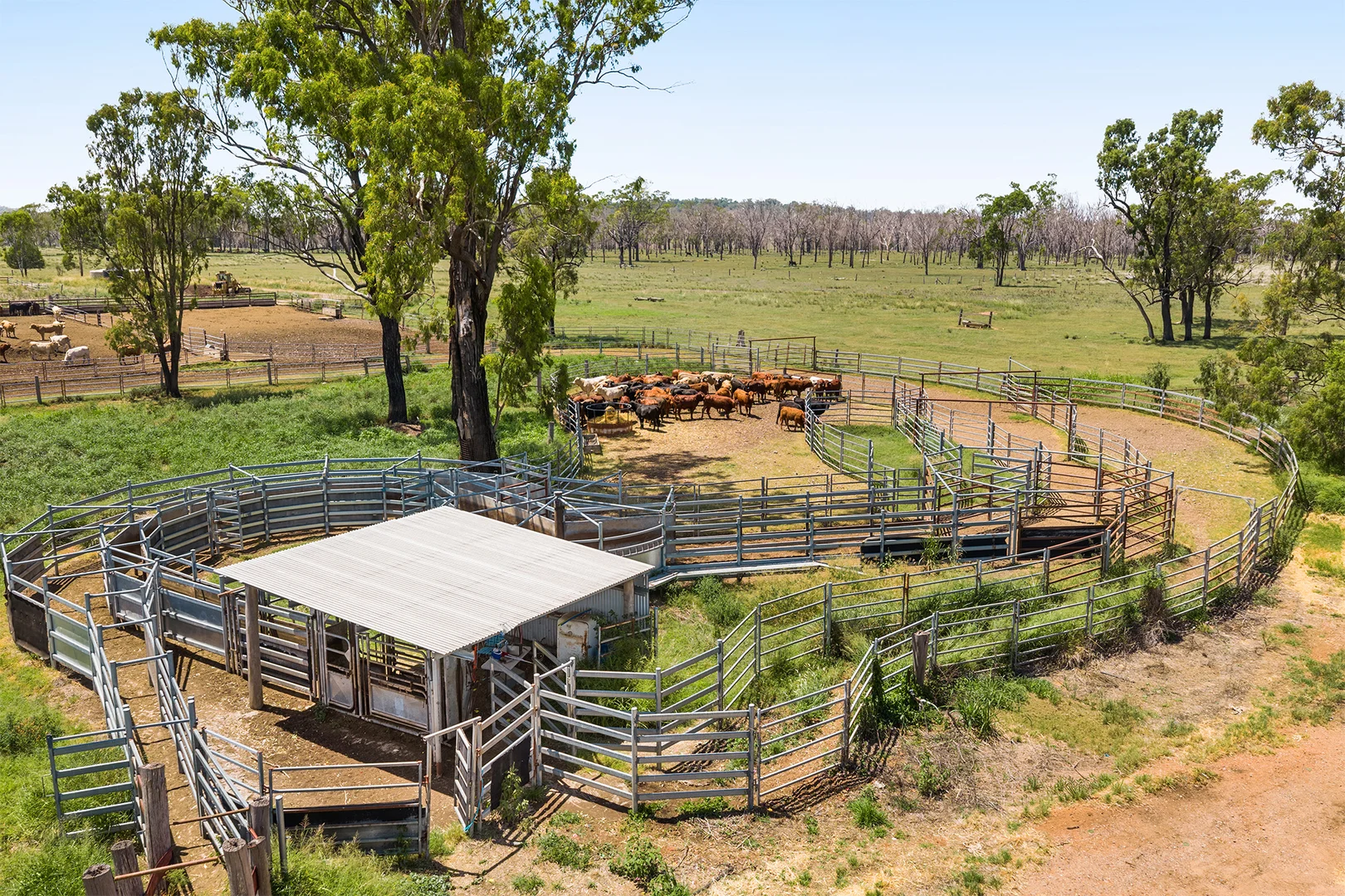 Additional image 24 of 'Ashby' 48 Felton View Road, Ellangowan QLD 4361