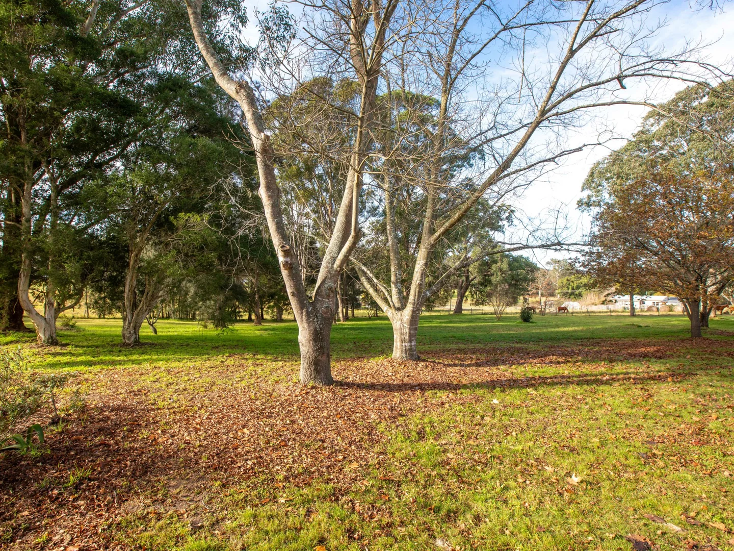 Additional image 30 of 12 Corridgeree Road, Tarraganda NSW 2550