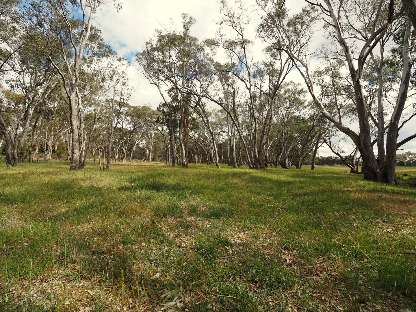 Additional image 12 of 10 Blacksmith Gully Road, Daisy Hill VIC 3465