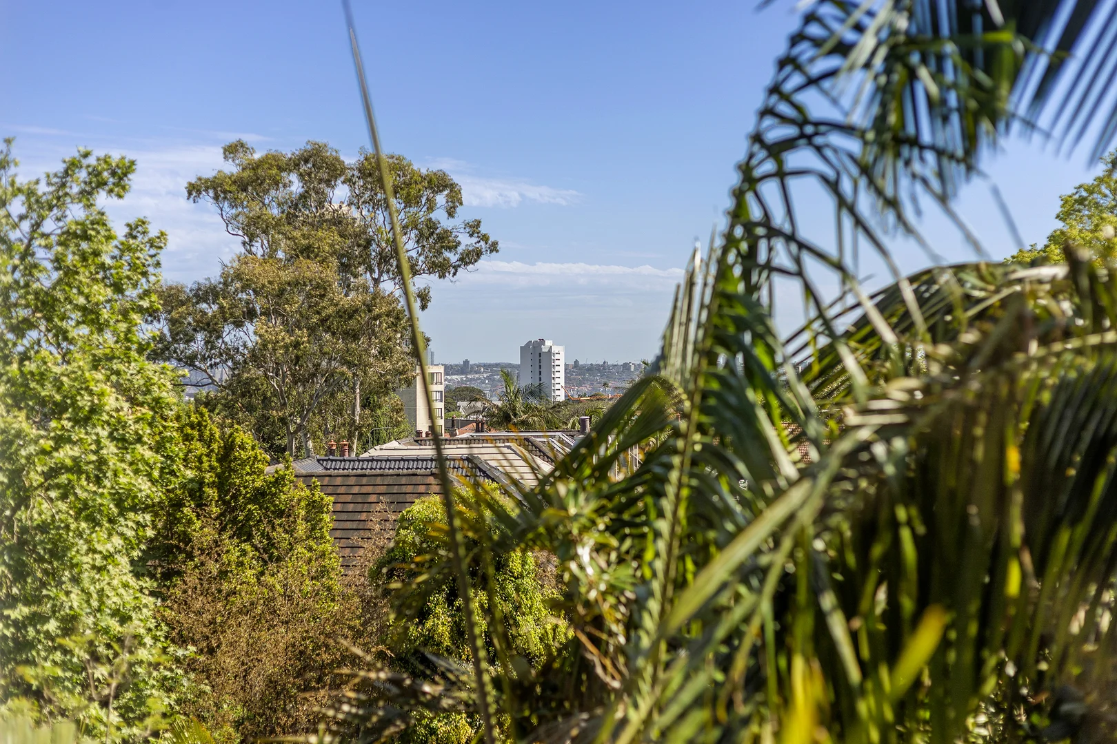 Additional image 5 of 4a/91 Ocean Street, Woollahra NSW 2025