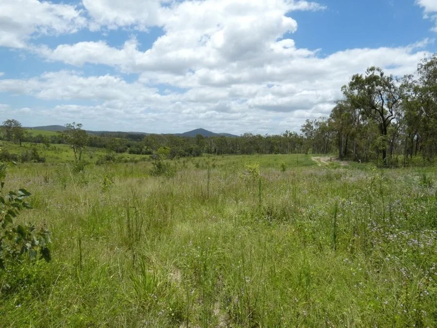 Additional image 23 of Lot 43 Moolyung Road, Waterloo QLD 4673
