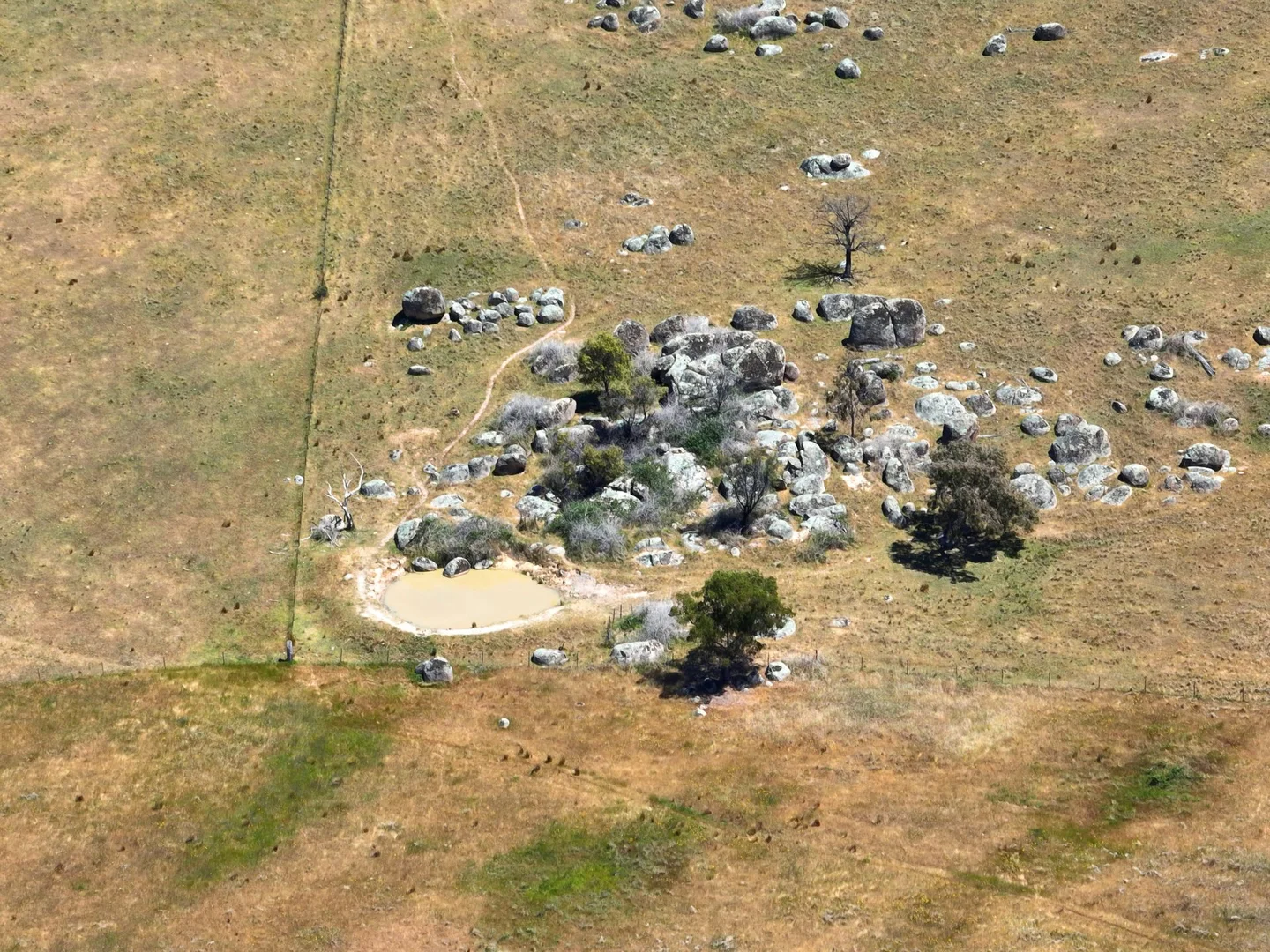 Additional image 10 of 1432 Pine Mount Road, Darbys Falls NSW 2793