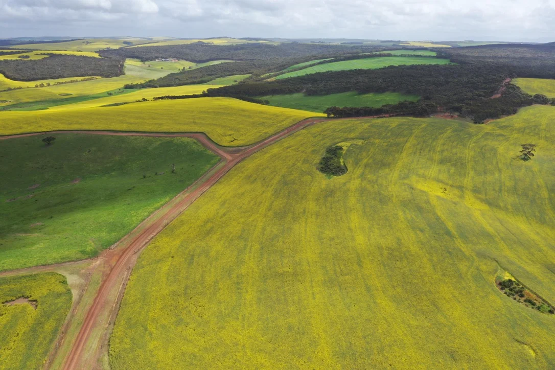 Additional image 4 of 251 Reservoir Drive, Whites Flat SA 5607