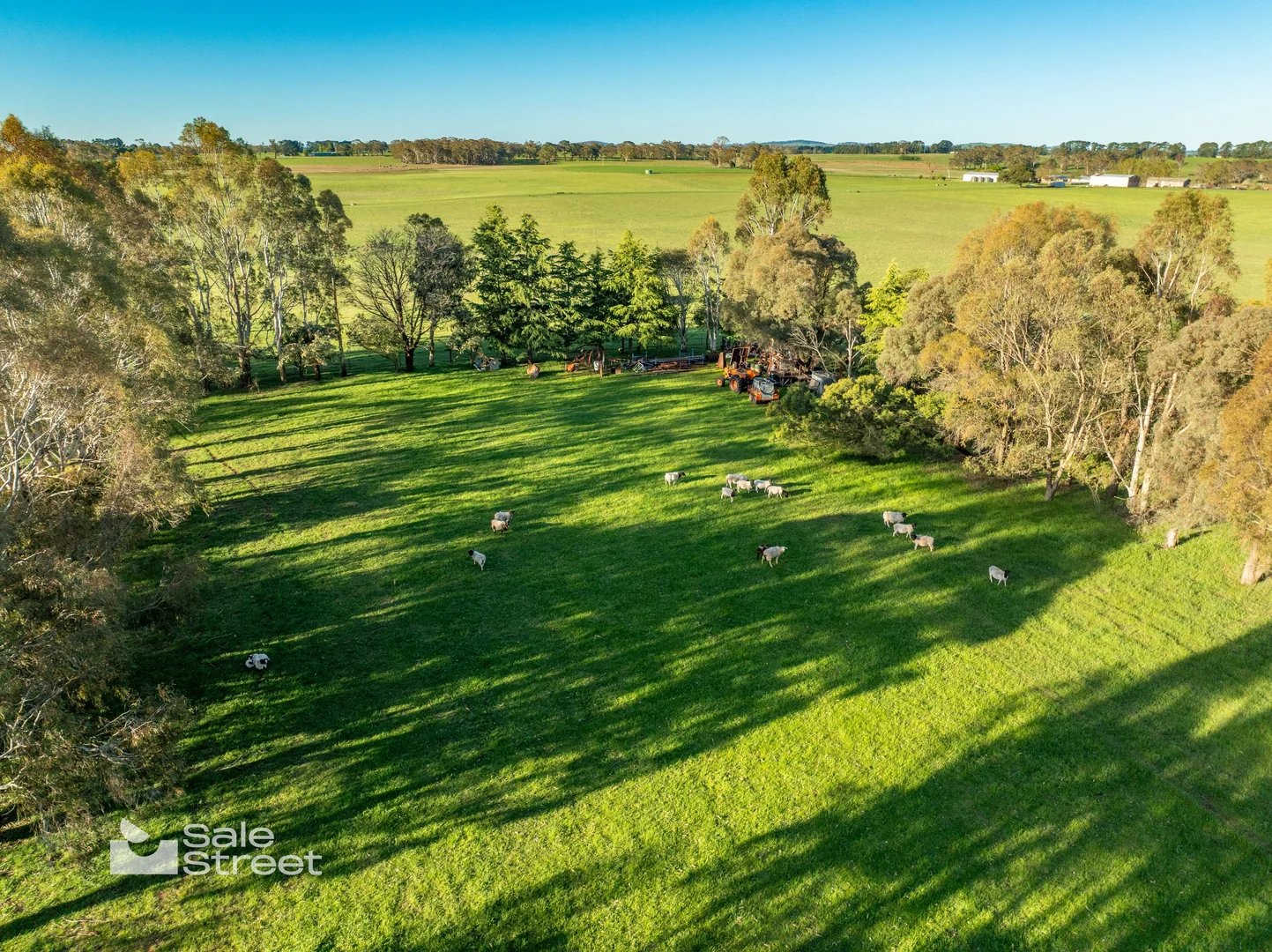 Additional image 39 of 31 Curralea Lane, Forest Reefs NSW 2798