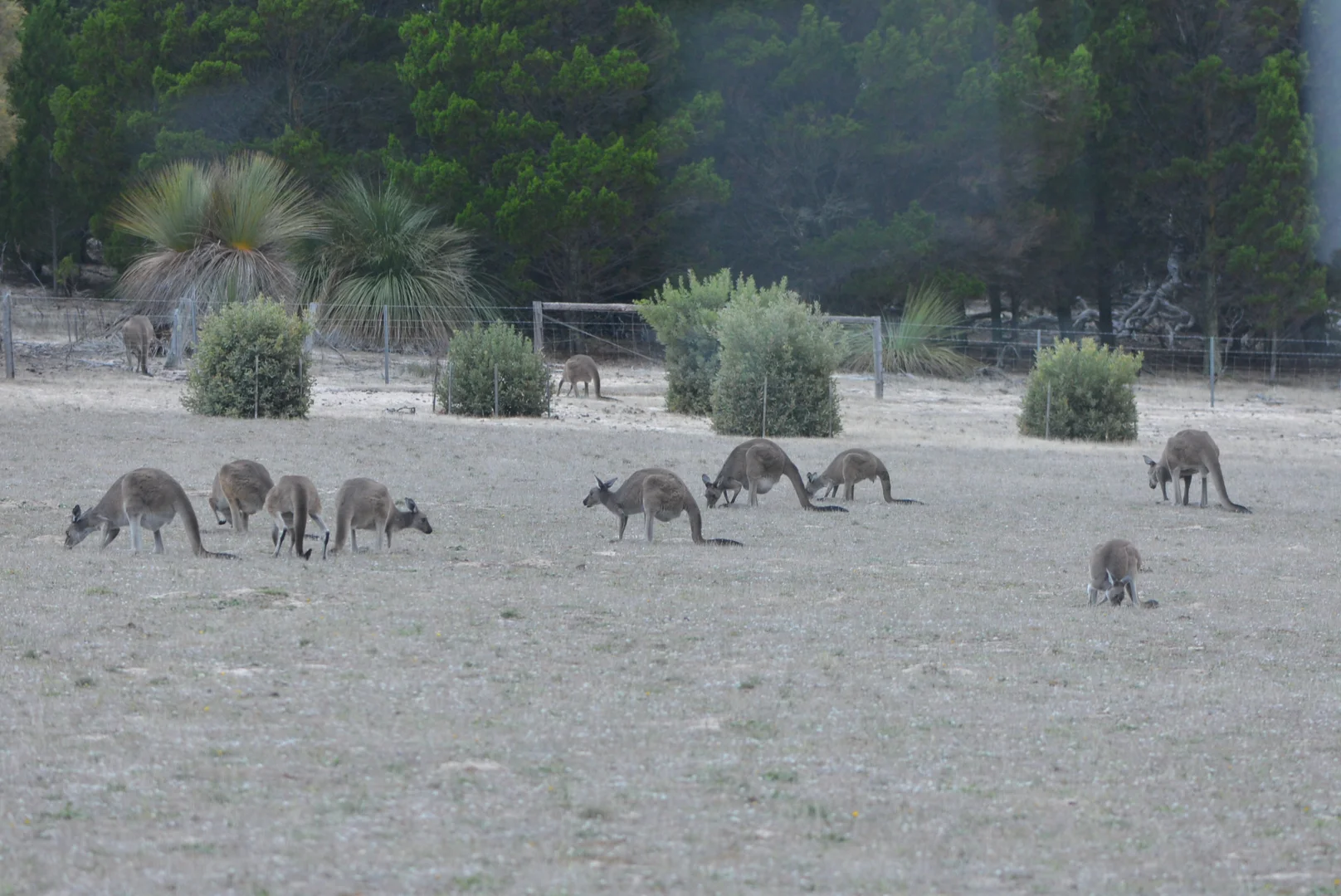 Additional image 85 of 839 Signal Flat Road, Finniss SA 5255
