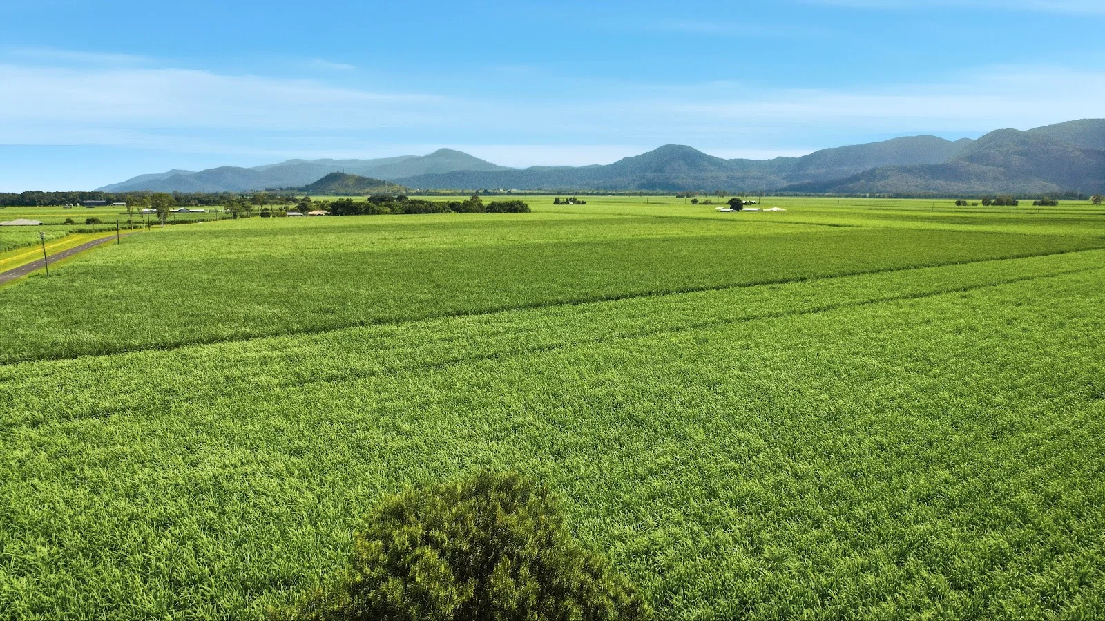 Lot 44 Crossland Road, Gordonvale QLD 4865