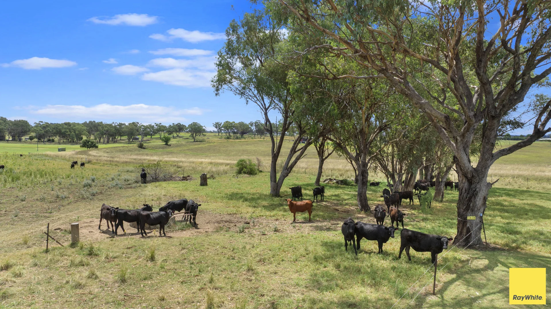 Additional image 18 of 394 Yetman Road, Inverell NSW 2360