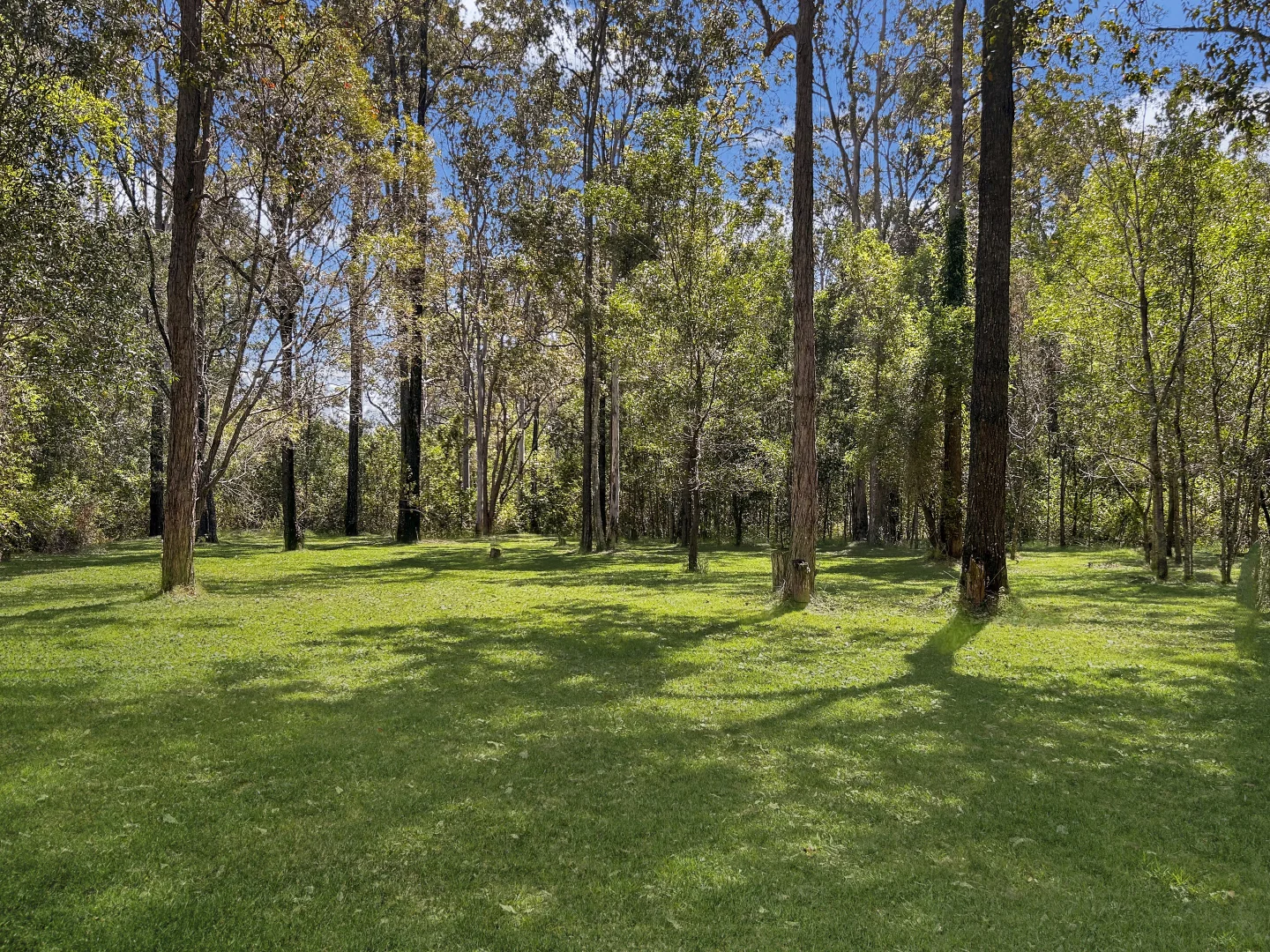 Additional image 19 of 475 Elliotts Road, Myrtle Creek NSW 2469