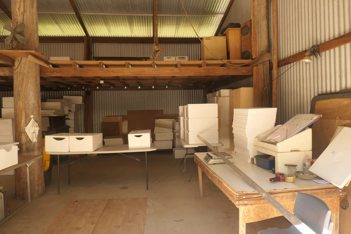 Additional image 26 of Bulldog NSW 2469