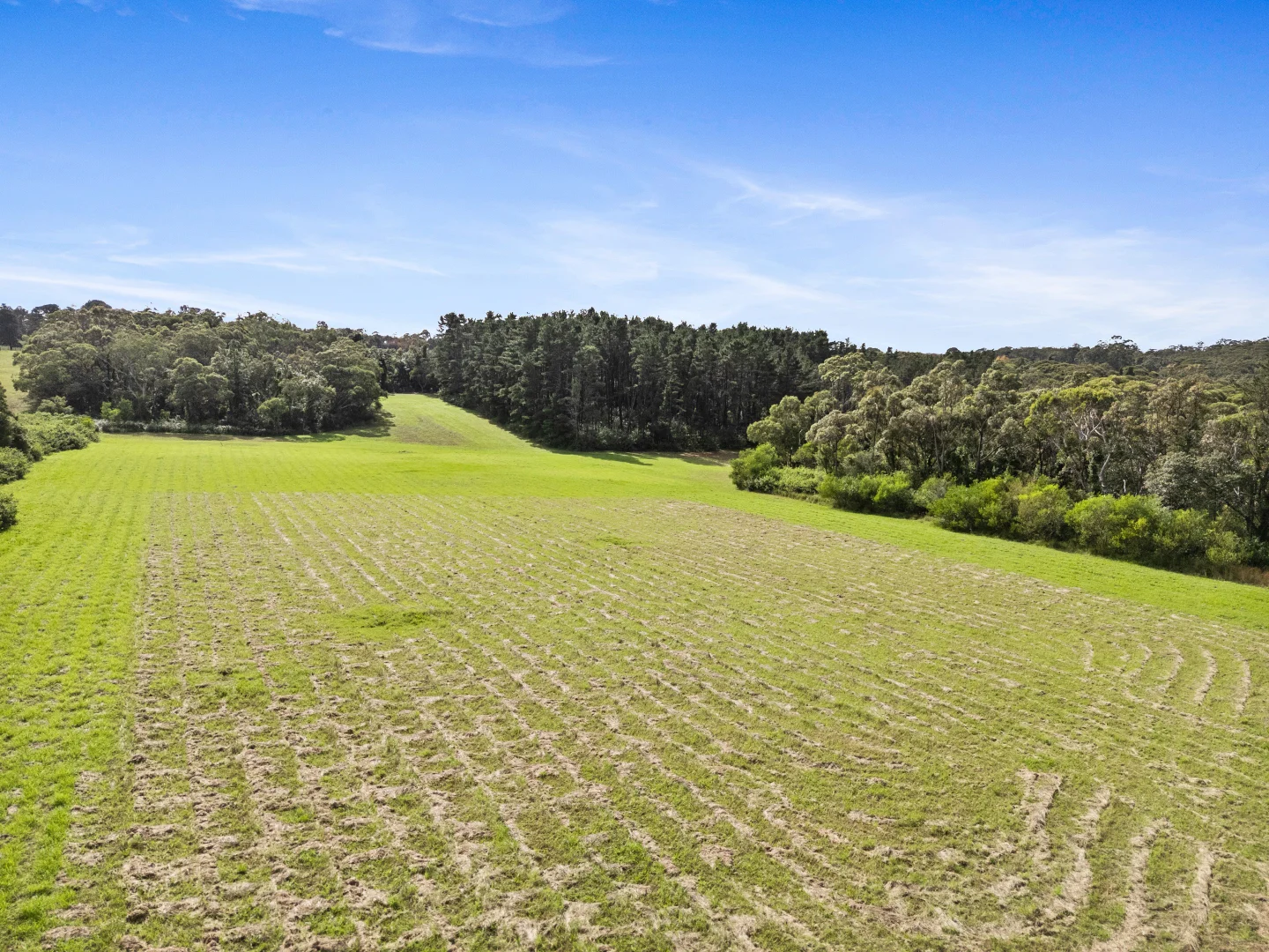 Additional image 20 of 371 Greta Road, Kulnura NSW 2250