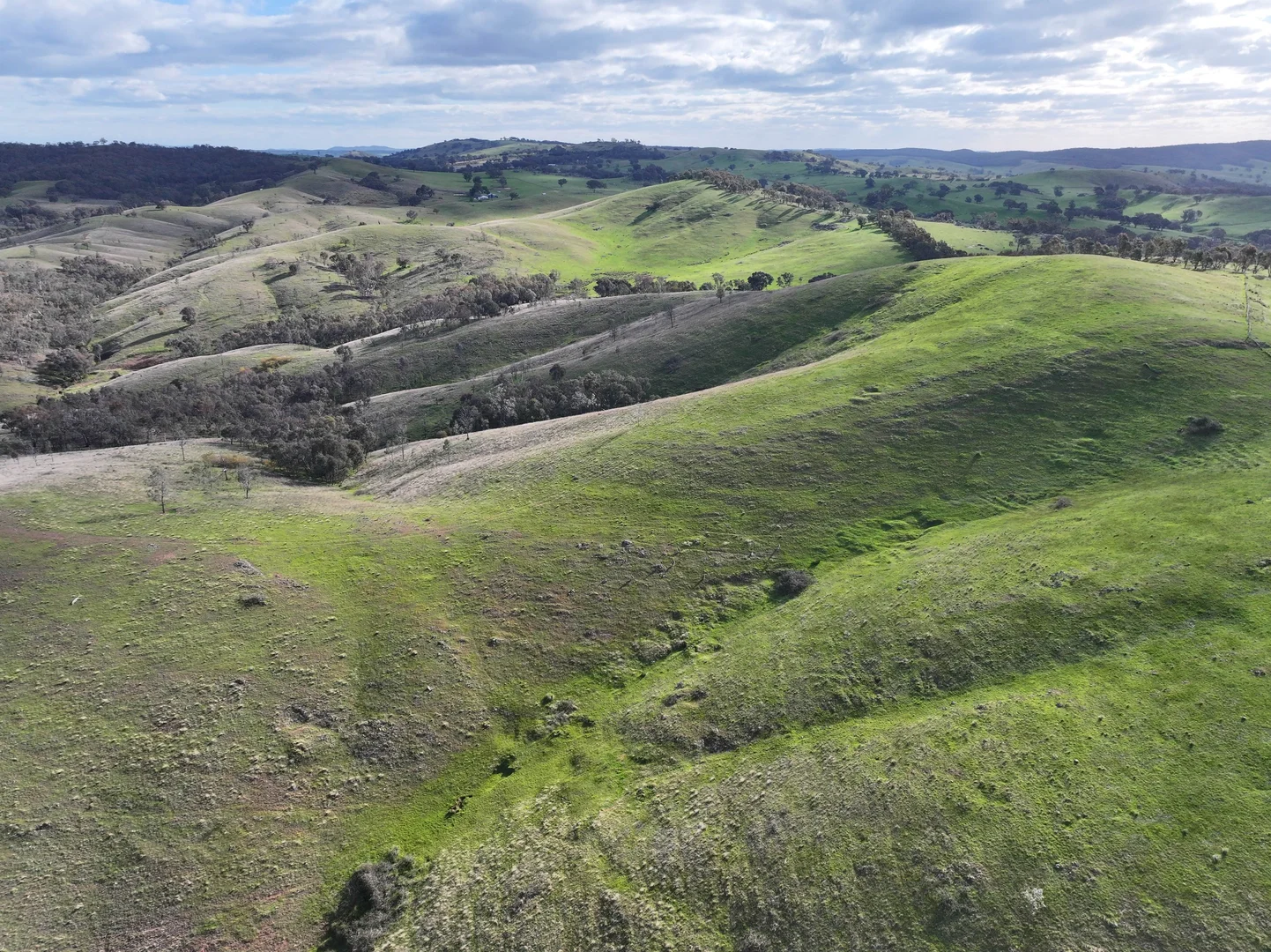 Additional image 13 of 'Rosewood' 850 Pulletop Road, Big Springs NSW 2650